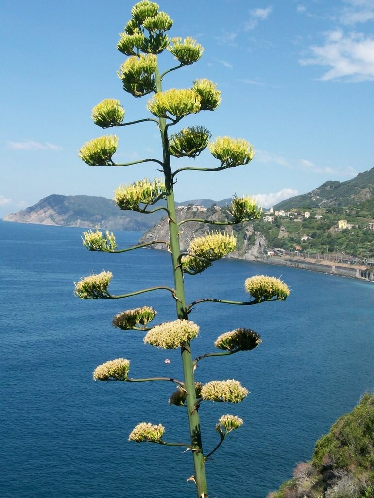breathtaking-sceneries-photo_986620-770tall
