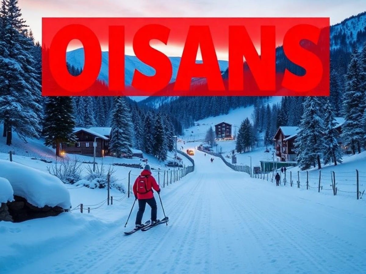 5 activités à ne pas manquer l