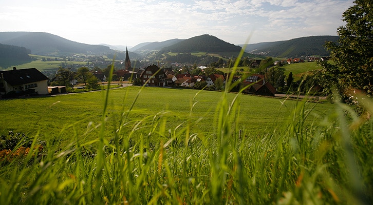 Les grandes forêts et les bonnes tables de Baiersbronn