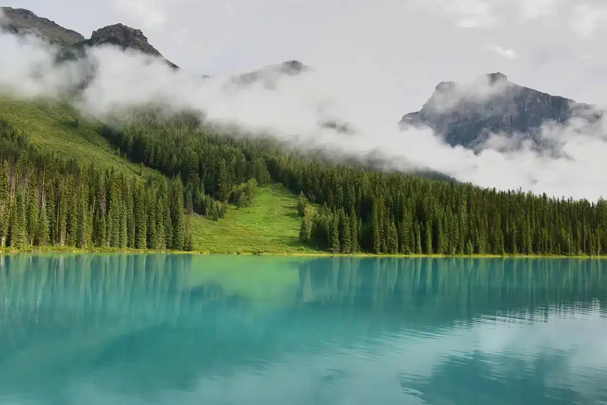 Lago de agua dulce profunda rodeado de montañas nevadas y bosque virgen bajo luz matutinal