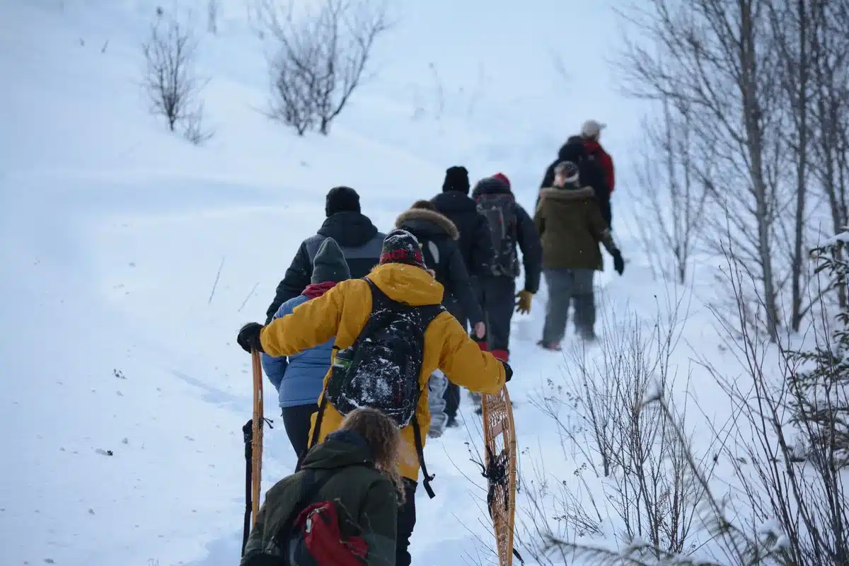 Personas caminando con raquetas de nieve en el bosque invernal bajo las estrellas