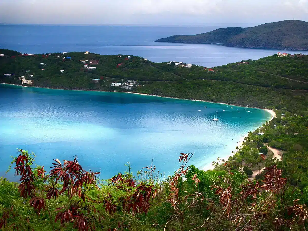 Playa tropical con aguas turquesas, arena blanca y palmeras bajo el sol del Caribe