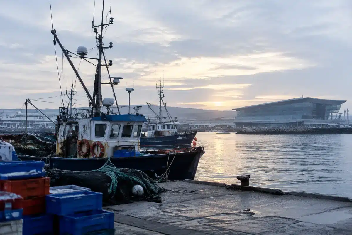 Taller científico sobre el calamar Illex en Vigo con participación de las Islas Malvinas